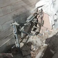 ساشی ببری ۴۰۰