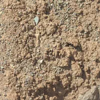4دیواری-باغ-باغچه-564متری