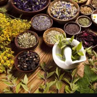 بادکش گرم و درمان کیست و تنبلی تخمدان