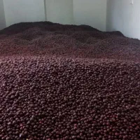 ۳ تن عناب فوق العاده درجه یک تازه بیرجند