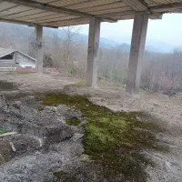 بنای نیمه کاره سوستان لاهیجان|فروش زمین و ملک کلنگی|لاهیجان, لیل|دیوار