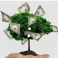 تامین سرمایه آزاد