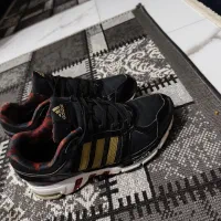 اکومنت پشت ببری