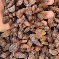 فروش انواع کشمش خوراکی و آبگیری