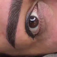 مدل تتو