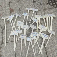 قفسه و ظرف حبوبات و ... در حد نو. قیمت عالی