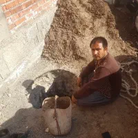 چاه کن در جیرفت و دهبکری هستم