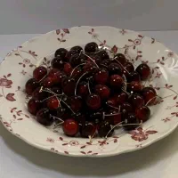 گوشواره گیلاسی دخترونه