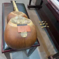 تار پنجه طاووسی|سازهای سنتی|فسا, |دیوار