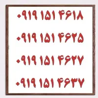 ۰۹۱۳.۵۹۷.۶۰۳۰|سیم‌کارت|یزد, |دیوار