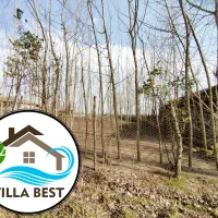 زمین 250 متری بر جاده در زیباکنار