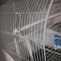 قفس|لوازم جانبی حیوانات|قم, ولیعصر|دیوار