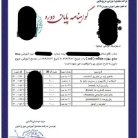 مهارت های هفتگانه کامپیوتر icdl گواهی مهارتی معلم|خدمات آموزشی|زاهدان, |دیوار