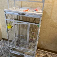 قفس بزرگ کاسکو سالم و تمیز