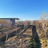 باغچه ۵۰۰‌متری شهرکی سند‌ تک‌برگ‌ کنتور‌ برق