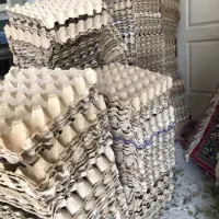 شانه تخم مرغ