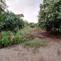 فروش زمین مسکونی