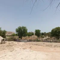 فروش زمین کشاورزی نزدیک اتوبان کاوه