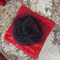 روتختی|سرویس روتختی|هشتگرد, شهرک مهستان ۲|دیوار