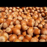 فندق امساله