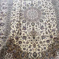 فرش دستباف نو کاشان|فرش|تهران, ایرانشهر|دیوار