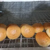 نان باکت لقمه همبرک فرانسوی