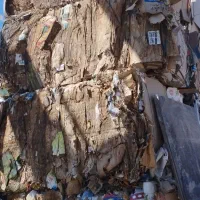 خریدار کارتن به قیمت ۱۵۰۰۰تومان درب منزل