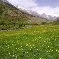 تور طبیعتگردی و کمپینگ شاد