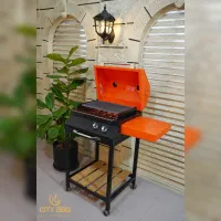 باربیکیو گازی و ذغالی