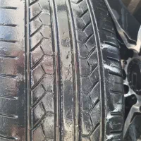 باربند تارا