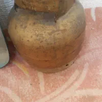 پیک نیک فوری