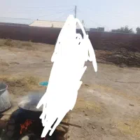 زمین خانه