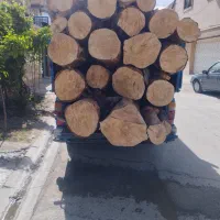 برش درخت و خرید چوب|خدمات باغبانی و درختکاری|شیراز, شریفآباد|دیوار