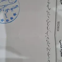 پژو پارس مدل ۱۴۰۱ بدون رنگ قابل معاوضه|خودرو سواری و وانت|مشهد, الهیه|دیوار