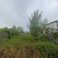 زمین-204-متری-دور-دیوار-محصور-در-زیباکنار