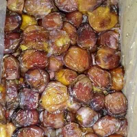 فروش ۷۰کارتون خرما خاصه درجه یک
