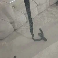 محافظ تلویزیون