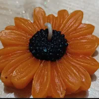 ساخت انواع دکوری و شمع|صنایع دستی و سایر لوازم تزئینی|فومن, |دیوار