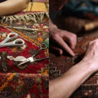 قالیشویی الماس شهر ولفجر فرهنگیان، رشد، پور بهمن