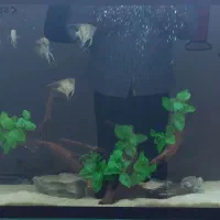 آکواریوم با وسایل