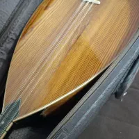 باغلاما دسته کوتاه