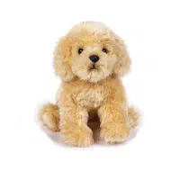 سگ گمشده، پیدا کردم