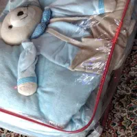 سیسمونی نوزاد