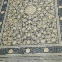 قالی 9متری|فرش|جوانرود, |دیوار