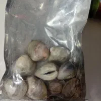 صدف خراکی آبشور