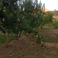 مشارکت در سرمایه گذاری