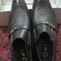 کفش مردانه چرم نو برند دیور