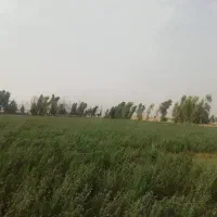 اجاره زمین کشاورزی