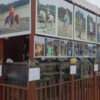 فروشنده عکاس