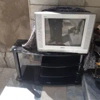 تلویزیون